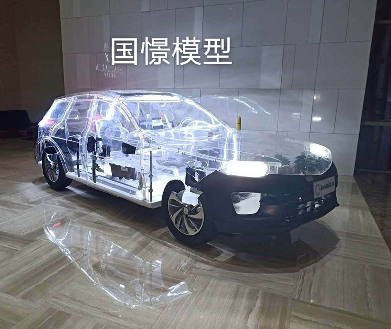 青阳县透明车模型